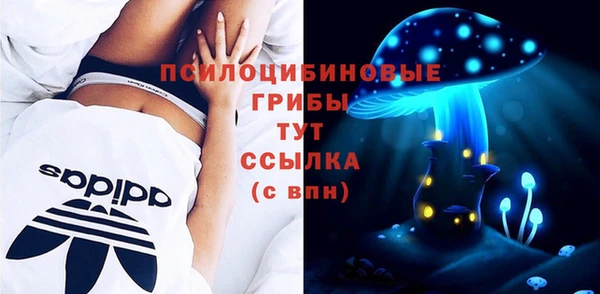 дживик Кинешма