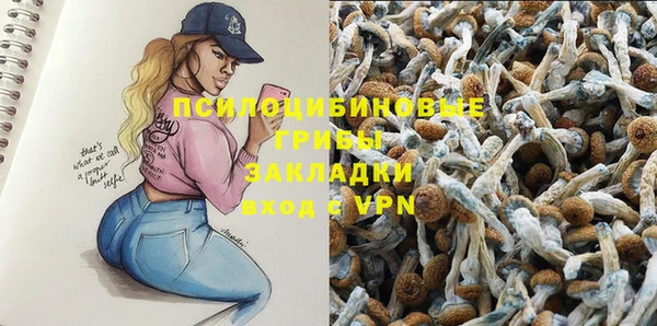 дживик Кинешма