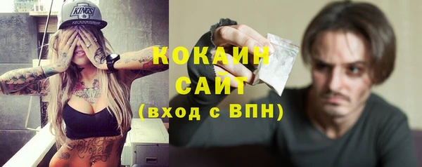 стаф Киренск
