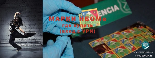 стаф Киренск