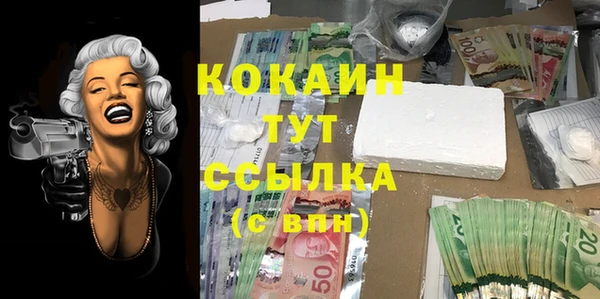 стаф Киренск