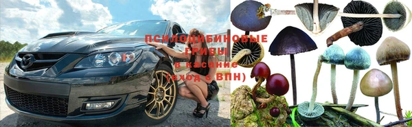 ALPHA PVP Касимов
