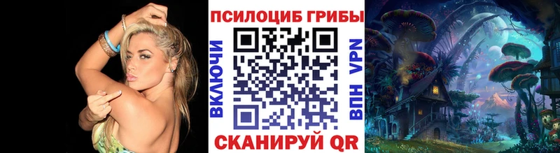 магазин  наркотиков  Щигры  Псилоцибиновые грибы прущие грибы 